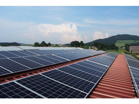 Preço de Painel Solar em Guarulhos