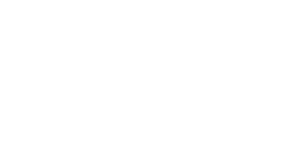 zopone-300-b